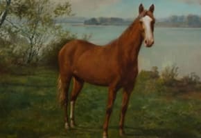 Horse in Landscape