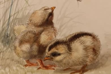 Arthur Fitzwilliam Tait - Two Baby Chicks Painting For Sale