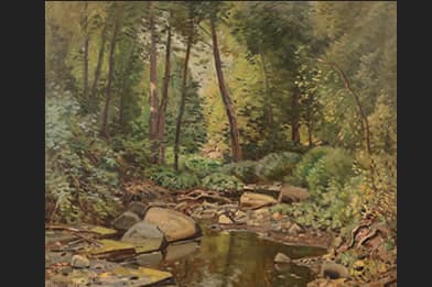 Frank A. Barney 19th Century Art for Sale - An Adirondack Stream