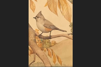 Earl Lincoln Poole Victorian Art - Titmouse Painting For Sale