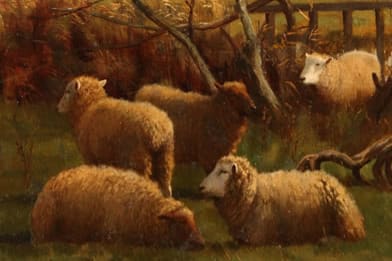 William Sidney Cooper - Sheep Grazing 1891 Painting For Sale
