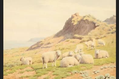 William Sidney Cooper Victorian Painting for Sale - Sheep on the Coast