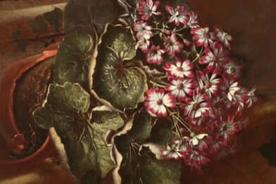 19th Century Italian or Continental School Painting