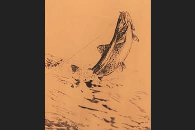 W.J. Schaldach Victorian Painting - Rising Trout Painting