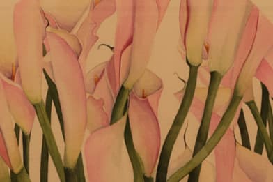 Michael Strueber (1945 - )