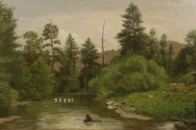 Jasper Lawnman Paintings - Special Day, Swans on the Creek
