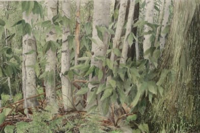 Michael Strueber (1945 - )