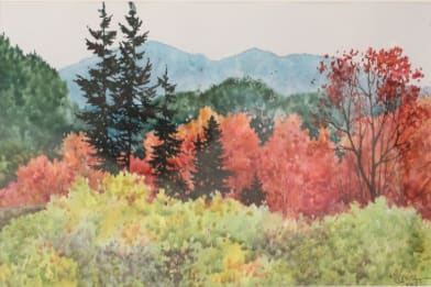 Alexis Lavine (American)