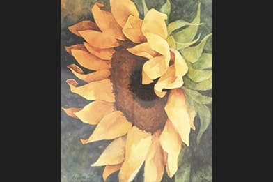 Alexis Lavine (American)