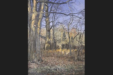 James C. Groves (American)