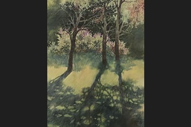 Alexis Lavine (American)