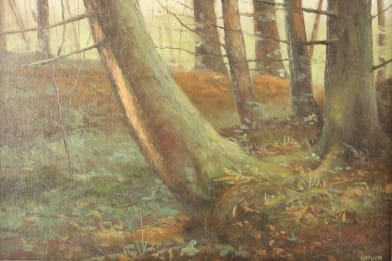 Sean M. Witucki (American)