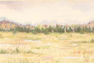 Michael Mosorjak (American 20th and 21st century)