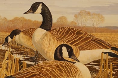 Peter S. Corbin (American, b. 1945)