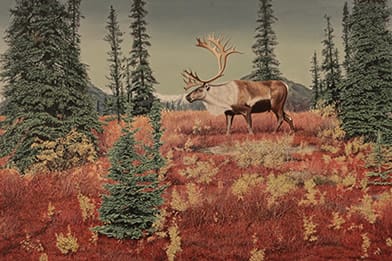 Robert Pease (1925 - 2004)