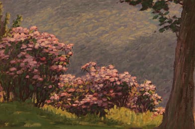 Andrew Thomas Schwartz (1867 - 1942)