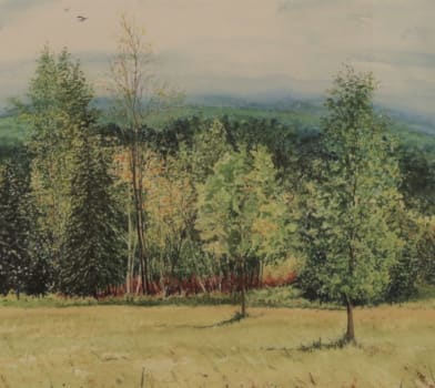 Michael Strueber (1945 - )