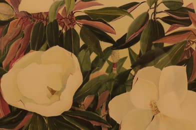 Michael Strueber (1945 - )