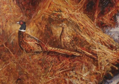 Scott Zuckerman (American born 1951)