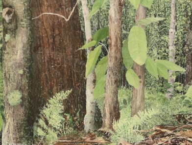 Michael Strueber (1945 - )