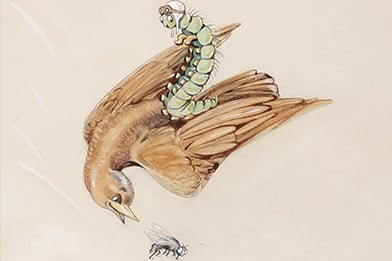 Kathleen Maude Harriet Debenham  (British, late 1800s – 1964)