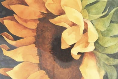 Alexis Lavine (American)