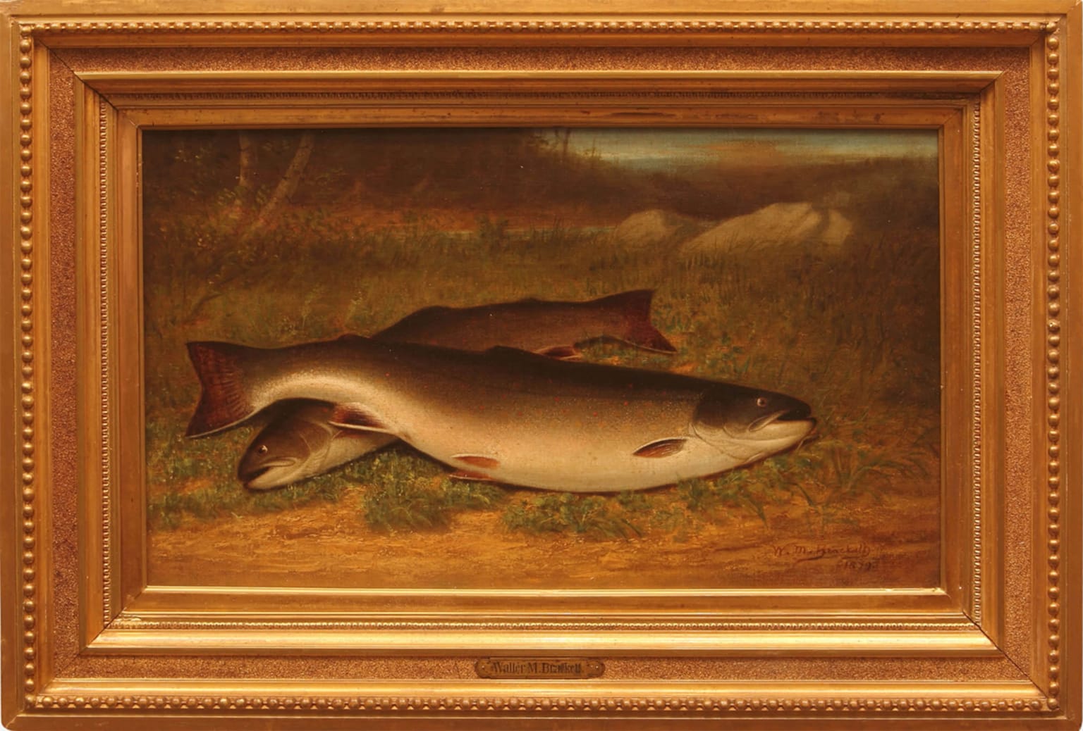 Walter M. Brackett Artwork for Sale - Trout on a Bank